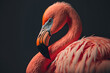 Closeup of flamingo Bird, ai generative illustration.