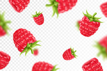 Raspberry Background. Flying Raspberry With Green Leaf On Transparent Background. Raspberry Falling From Different Angles.Focused And Blurry Objects. 3D Realistic Vector.