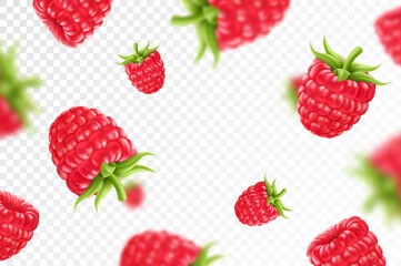 Wall Mural - Raspberry background. Flying raspberry with green leaf on transparent background. Raspberry falling from different angles.Focused and blurry objects. 3D realistic vector.