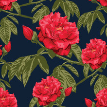 Seamless Pattern Floral With Red Rose Flowers Abstract Background.Vector Illustration Watercolor Hand Drawning.For Fabric Pattern Print Design.