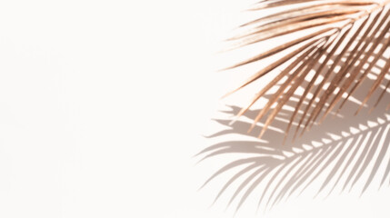 Wall Mural - Blur abstract coconut leaf with gold color