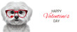 Banner for Valentine's Day with funny maltese dog wearing red glasses with heart. Isolated on white background cute dog for 14 February greetings and other holiday-themed projects. Generative AI