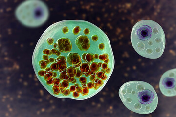 Wall Mural - Rhinosporidium seeberi parasite, the causative agent of rhinosporidiosis, disease with formation of polypoidal masses in nasopharynx, 3D illustration