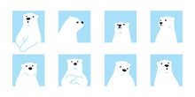 Bear Vector Polar Bear Icon Character Cartoon Logo Teddy Square Symbol Doodle Animal Illustration Isolated Design