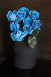 Blue bouquet. Blue roses in a vase on a table . Dark background.