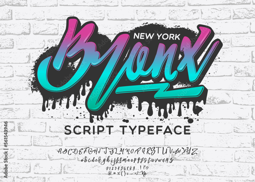 Bronx Script Font Bronx. New York City print. Hand made script font. Stylish badge for ...