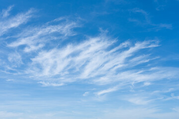 Wall Mural - Cloudscape of white clouds in a blue sky
