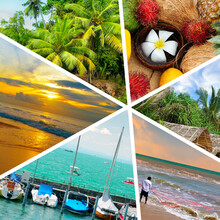 Photocollage Of Tropical Landscapes Located In Mosaic. Concept - Vacation And Travel.