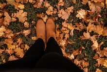 Autumn Leaves On The Ground With Brown Boots