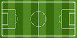 Football or soccer field. Green grass texture vector design. Green line background.