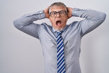 Canvas Print - Hispanic business man with grey hair wearing glasses crazy and scared with hands on head, afraid and surprised of shock with open mouth