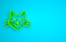Green Cat Icon Isolated On Blue Background. Minimalism Concept. 3D Render Illustration