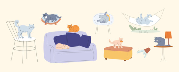 Canvas Print - Fluffy cats, various poses cat. Different kittens sleep on sofa, resting in a hammock and chair. Pet cleaning, sitting on table or animals bed, vector set