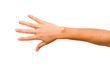 © Asier - caucasian hands gesturing isolated on a white background