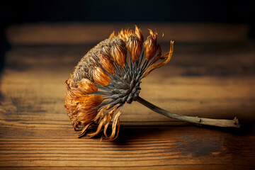 Wall Mural - On a wooden table, a dried flower. Generative AI