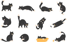 Black Cats Poses. Walking Pussycat In Different Pose Behavior, Stretching Kitten Domestic Animal Characters, Home Cat Sleep Funny Dark Kitty Silhouette Cartoon Vector Illustration