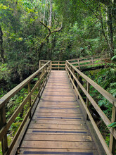 Wooden Walkway In The Forest Leading To The Buraco Do Padre Cave In The State Of Parana In Brazil.