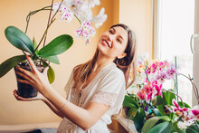 Smiling Woman Enjoys Blooming White Orchid With Purple Dots Holding Pot. Gardener Takes Care Of Home Plants And Flowers.
