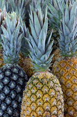  Closeup of bunch of pineapple