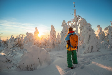 backview of a person in colorful warm clothes standing between snow covered pine trees on the top of the hill in january