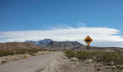 Virgin Mountain Natural Area, Nevada