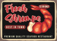 Fresh Shrimps Vintage Sign, Seafood Retro Promo Poster Vector Template