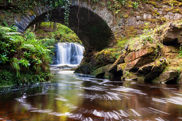 Canvas Print - Torc Waterfall flowing under a bridge in Killarney National Park, Ireland