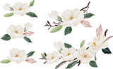 watercolor white magnolia flower and leaf bouquet clipart collection isolated on white background