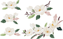 Watercolor White Magnolia Flower And Leaf Bouquet Clipart Collection Isolated On White Background