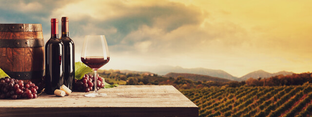 Canvas Print - Wine tasting in the vineyard