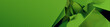 © RocknRoller Studios - Modern Abstract Banner, with Refractive Glass Shapes. Colorful, Green 3D Render with copy-space.