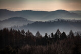 Fototapeta Tęcza - Łagodne wzgórza porośnięte lasem w porannej mgle, Bieszczady, Polska