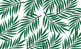 Fototapeta Sypialnia - Vector illustration of green palm leaves isolated on white background
