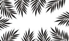 Vector Background Of Black Palm Leaves