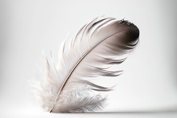 Poster - On a white background, a macro photograph of a soft, light weight bird feather is displayed. Image of the purity and fragility of nature in a free area that is delicate, dreamlike, and exquisitely art