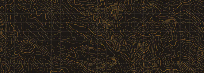 Wall Mural - topographic map patterns, dark topography line map. outdoor vector background, editable stroke