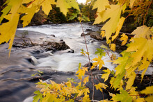 Fall Colors Highlight Scenic Raging River Scene.