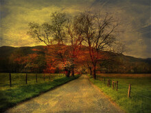 Country Lane In Fall