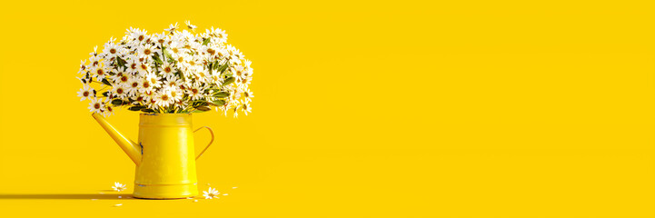 Beautiful chamomile flowers in yellow watering can on yellow background. Fresh white flowers. Spring concept background 3D Rendering, 3D Illustration