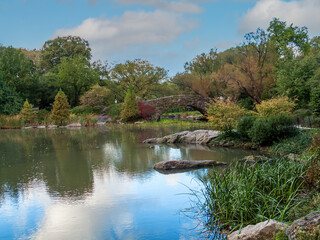 Park Reflections