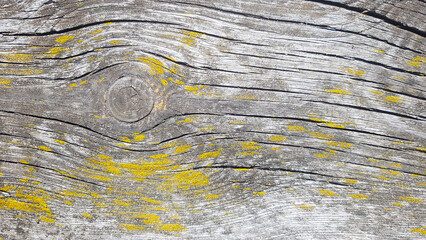 Wall Mural - Old wooden background. Wood texture with natural pattern.