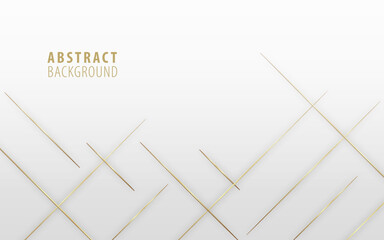 Poster - modern abstract premium gray background with thin gold lines with shadow. elegant geometric diagonal