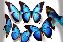 Amazing Common Morpho Butterflies Flying On White Background. Generative AI