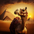 Camel in the desert next to the pyramids. Generative AI.