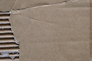 Ripped corrugated cardboard detail