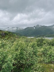 Wall Mural - Fjords coastline, ocean bay coastline, cloudy foggy sky