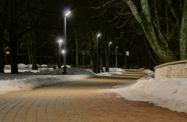 Wall Mural - paving stone path in the park at the evening and lantern lights. winter