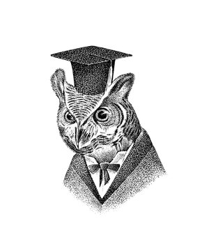 Fototapete - Scientist owl character in a hat. Hand drawn fashionable bird. Engraved old monochrome sketch.