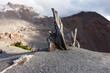 © claudio"oso"contrera - crater volcan chaiten, arbol envejecido, , montaña, paisaje, roca, naturaleza, montagna, roca, viajando, gemas, acuático, desierta, nieve, mar, acantilado, cerro, al aire libre, árbol, senderismo