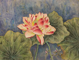 Fototapeta Sypialnia - bright pink lotus